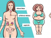 Máte rozhozené hormony? Toto je 6 nejlepších bylin, které Vám je pomůže srovnat přírodní cestou!