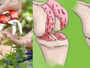Mojí mamce je 65 let a strašně ji bolí nohy. Pocítila svůj věk, ale díky tomuto odvaru se vrátila do normálního života