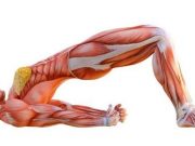 10 protahovacích cviků, díky kterým budete flexibilní jako kočka za pouhé 4 týdny
