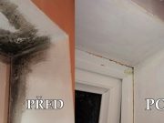 Stačí nastříkat TENTO OLEJ a PLÍSNĚ už u vás doma nikdy neuvidíte