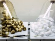 ROZDÍL MEZI BĚŽNÝMI A ELEKTRONICKÝMI CIGARETAMI JE OBROVSKÝ! LIDÉ VŠAK TOMU NEVĚŘÍ. ŠOKUJÍCÍ